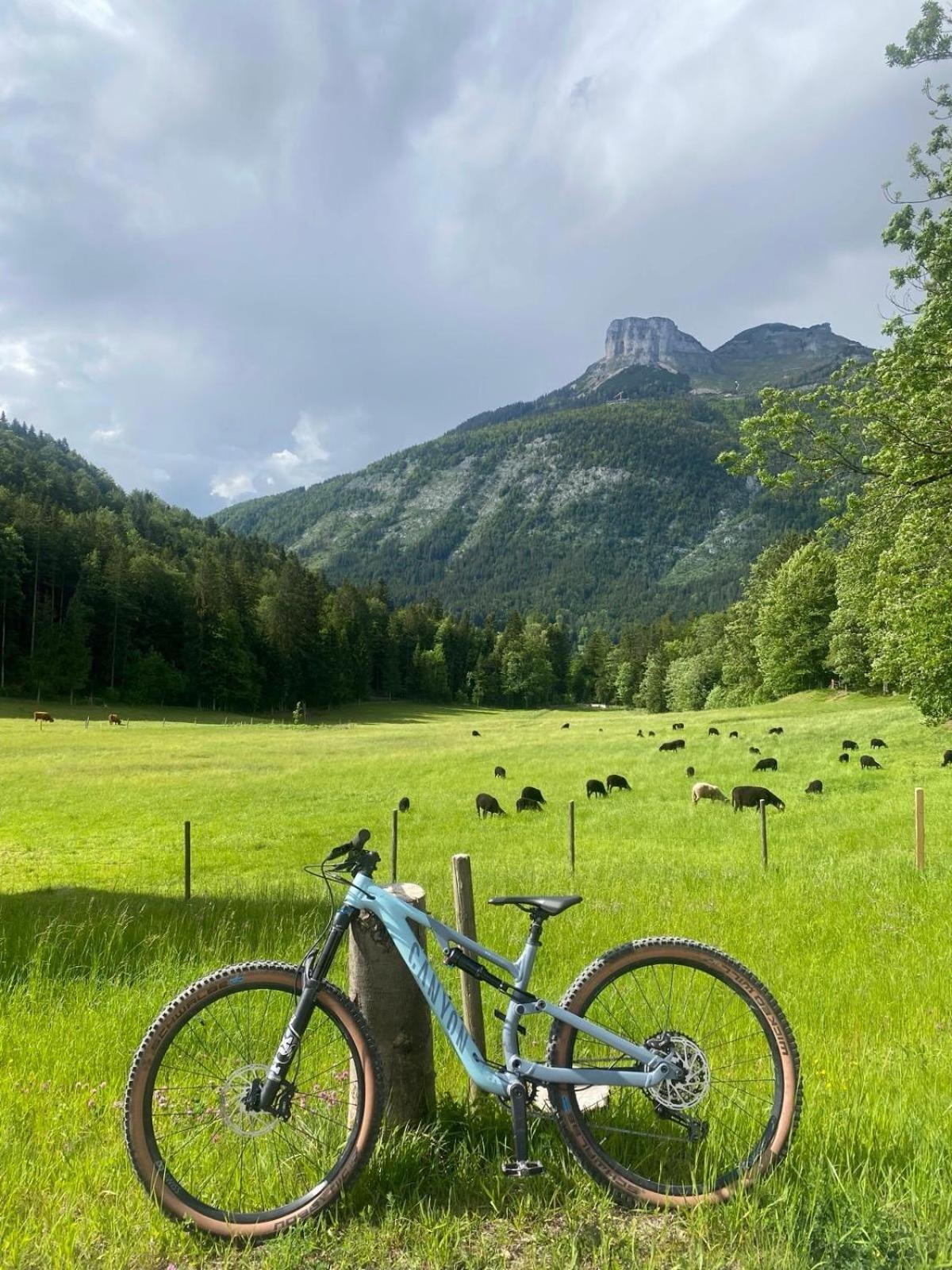 Ausseerland Apartments - Relax, Ski, Hike And Bike, Garden, Parking, Bbq, Near Hallstatt, Loser, Tauplitz And Krippenstein, Free Wi-Fi And Netflix Bad Aussee Esterno foto