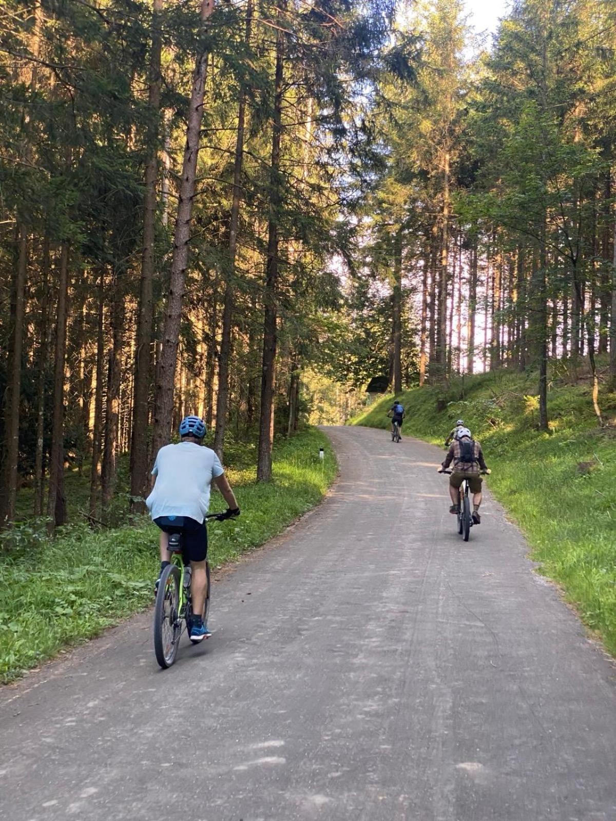 Ausseerland Apartments - Relax, Ski, Hike And Bike, Garden, Parking, Bbq, Near Hallstatt, Loser, Tauplitz And Krippenstein, Free Wi-Fi And Netflix Bad Aussee Esterno foto