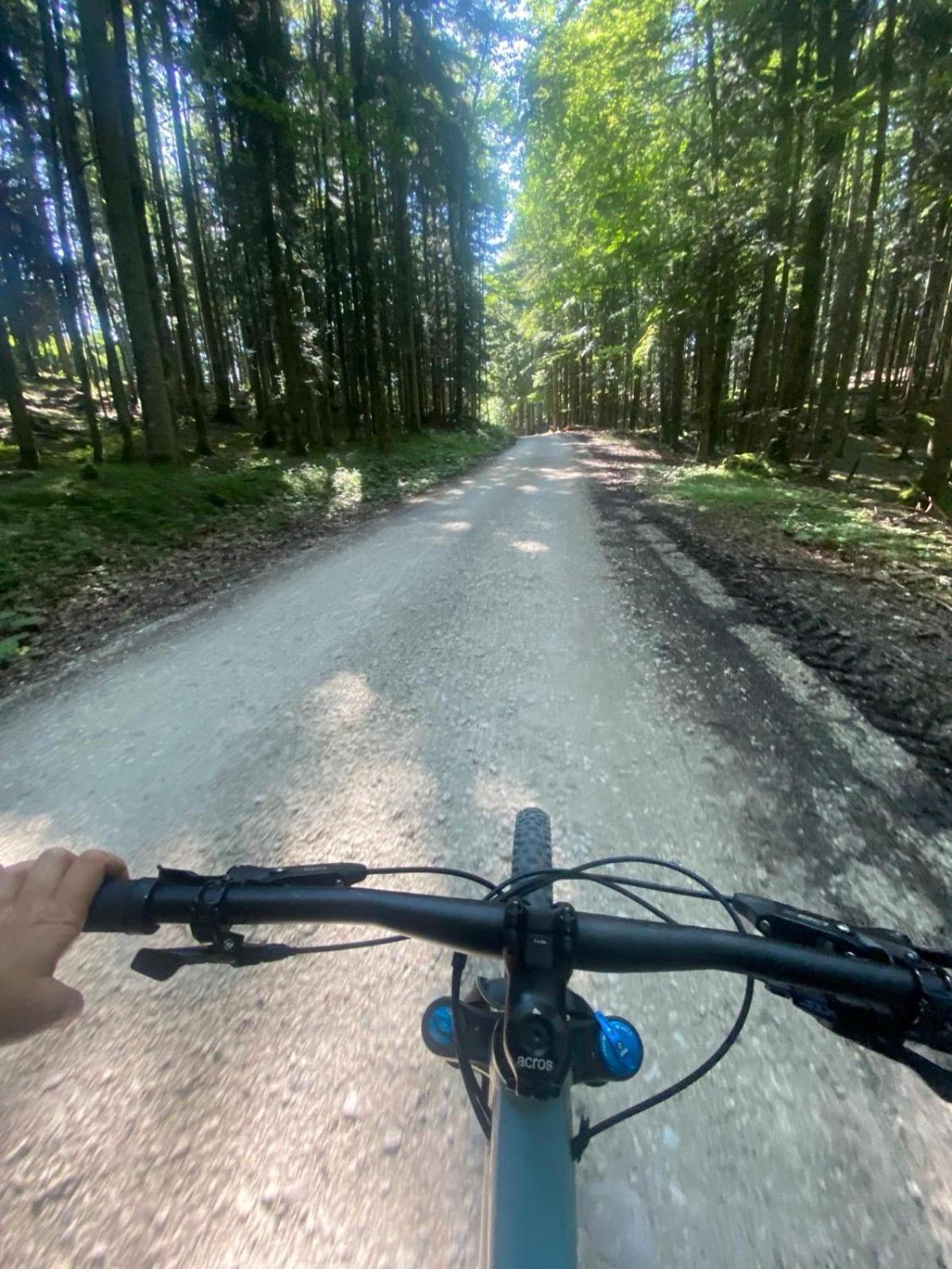 Ausseerland Apartments - Relax, Ski, Hike And Bike, Garden, Parking, Bbq, Near Hallstatt, Loser, Tauplitz And Krippenstein, Free Wi-Fi And Netflix Bad Aussee Esterno foto